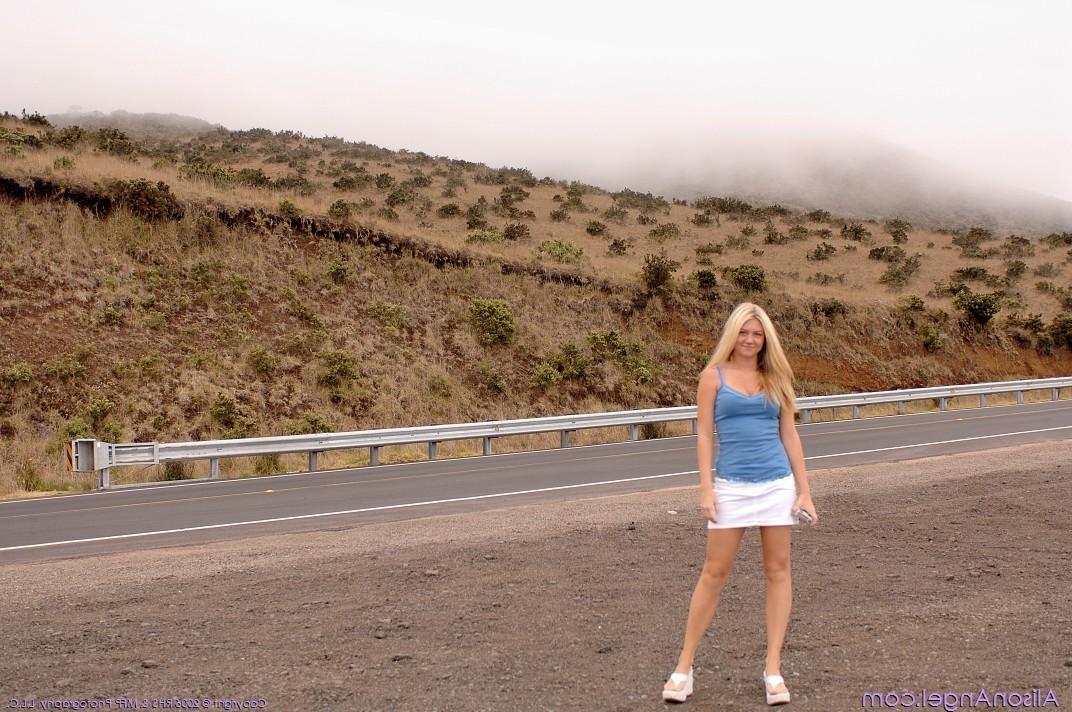 16P Heavenly Gorgeous Blonde Alison Angel Naked