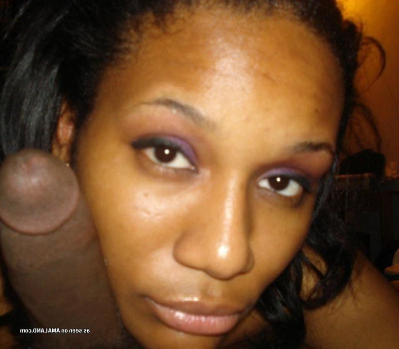 11P Black honey pleasuring her lover by giving head