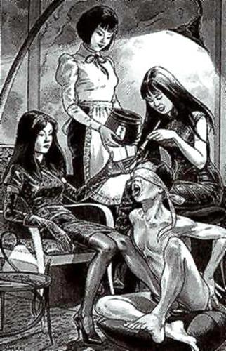 25P Thematic Drawn Porn Art 8 - Femdom (1)