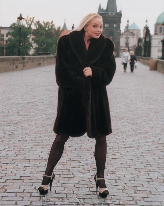 16P Silvia Saint: public nudity