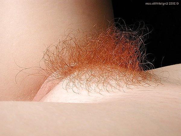 25P Red haired beauties