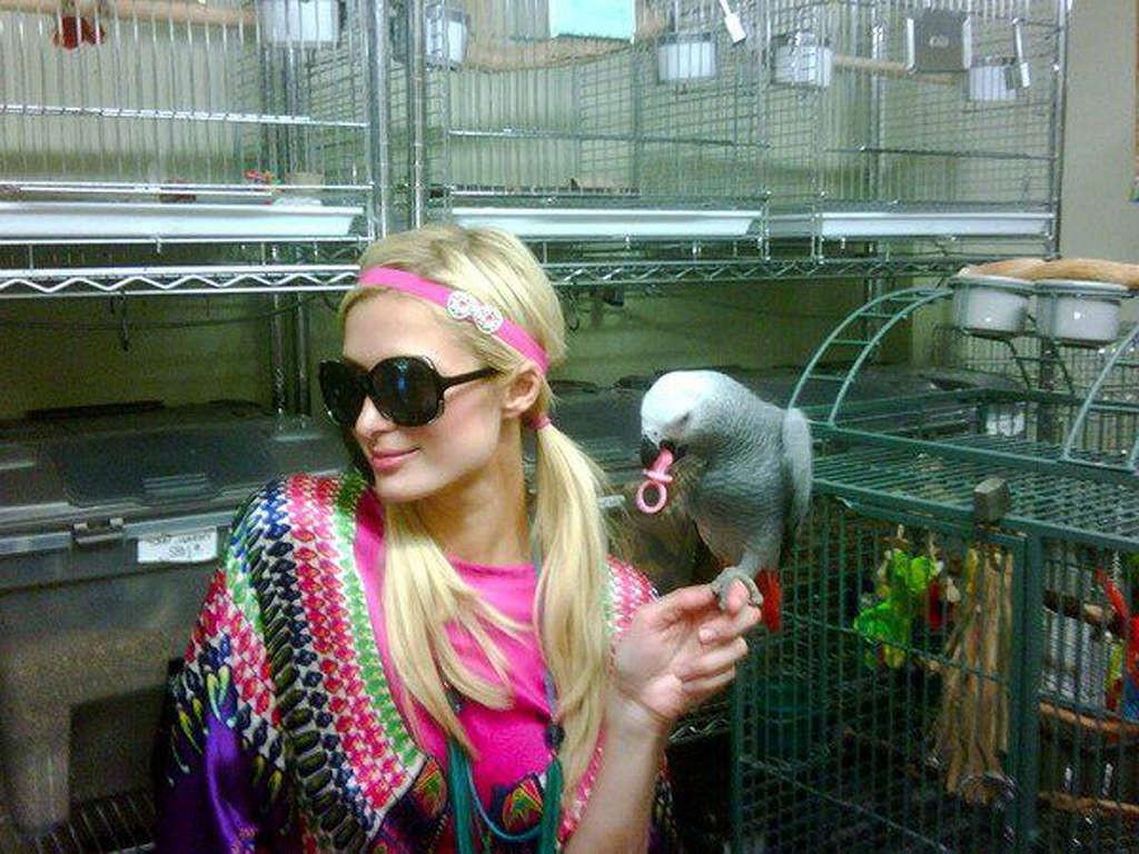16P Paris Hilton looking very sexy and hot on her private photos