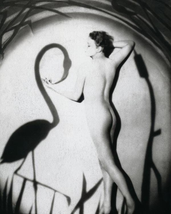 16P Retro photos with busty girls uncovering their treasures