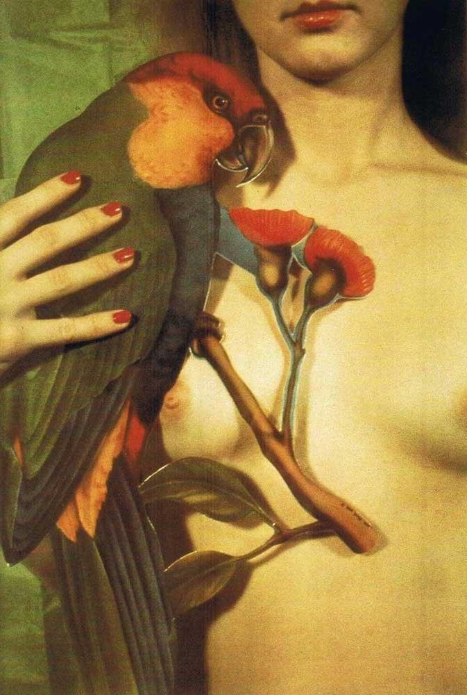 16P Some sexy and naked vintage chicks posing