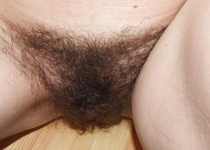 25P Thick Hairy Bushes