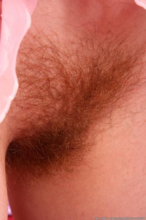 16P Very Hairy Auburn Haired Vendy Loses Her Lingerie