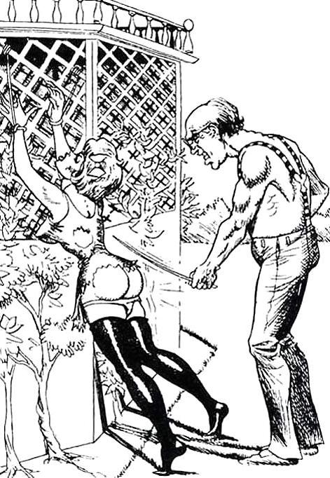 25P Thematic Drawn Porn Art 11 - BDSM (2)