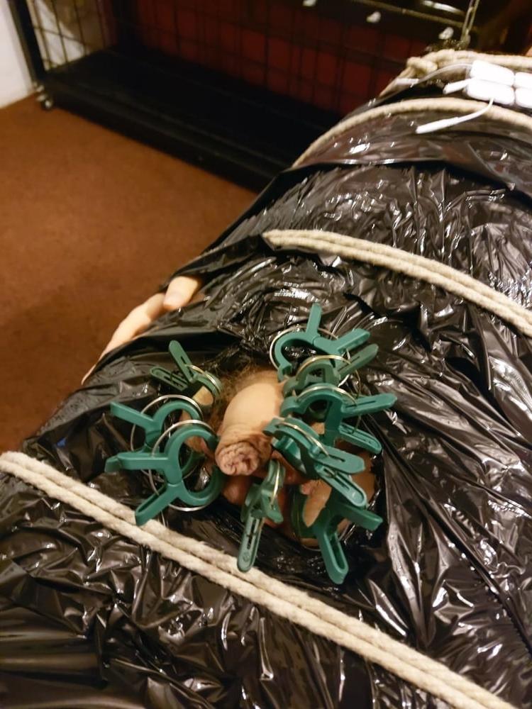 5P Sessions with my Mistress