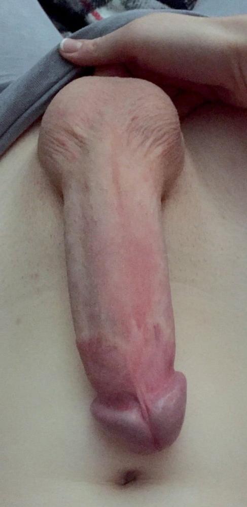 25P Superbe Trans 29