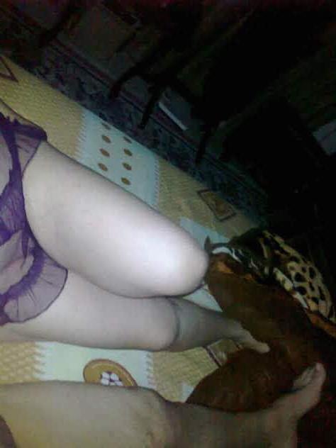 11P samiaber jordania