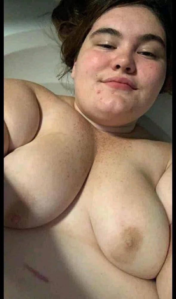 25P Young Fat Piglet