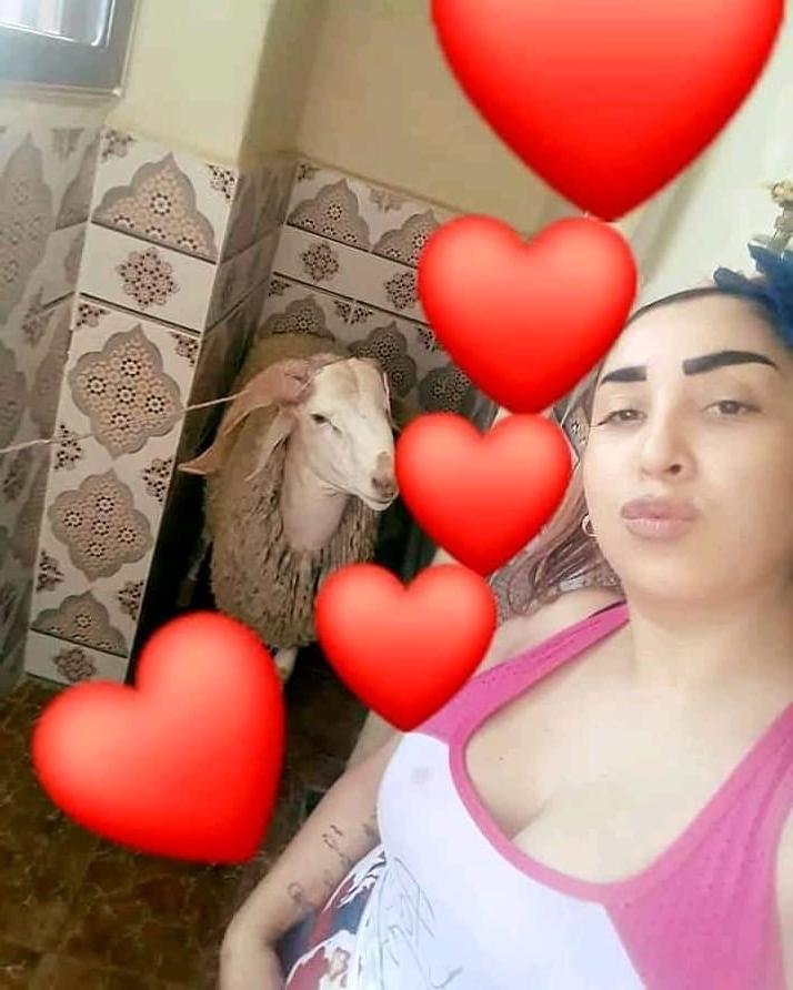 25P Arabian Sluts 562
