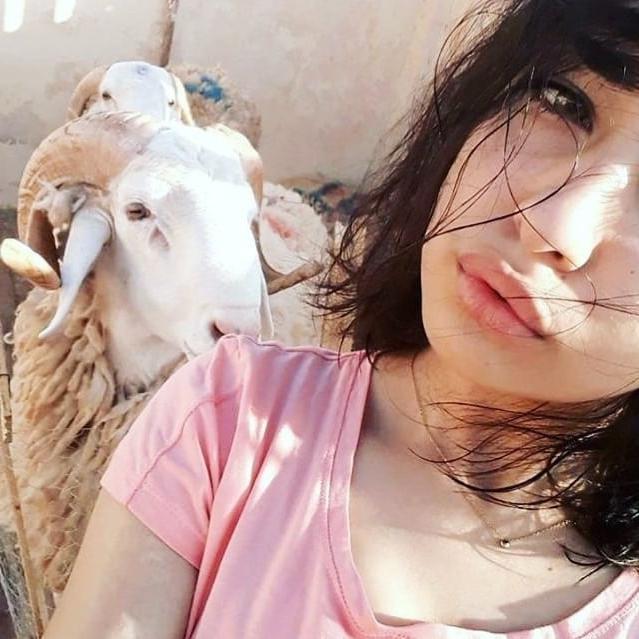 25P Arabian Sluts 562