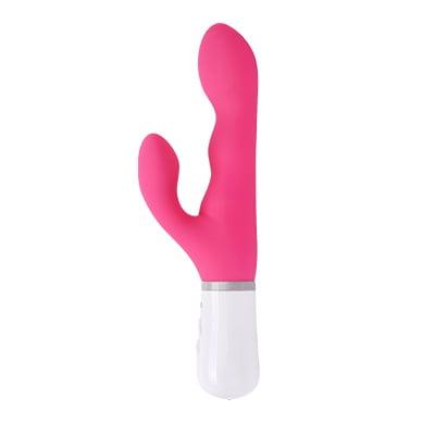 23P Remote sex toys by LOVENSE