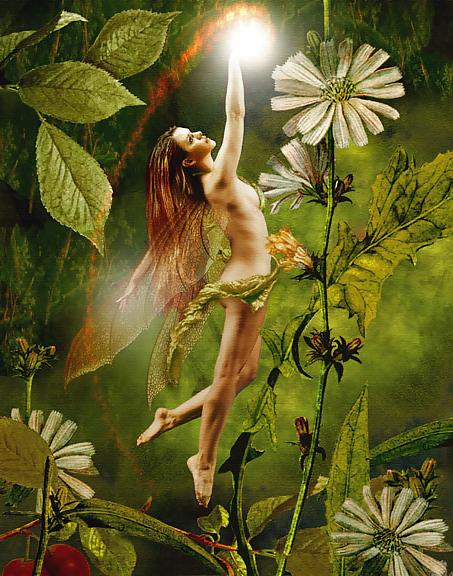 6P Fantasy Women
