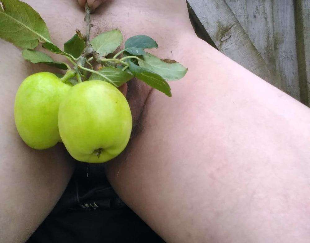 16P Apples from my garden
