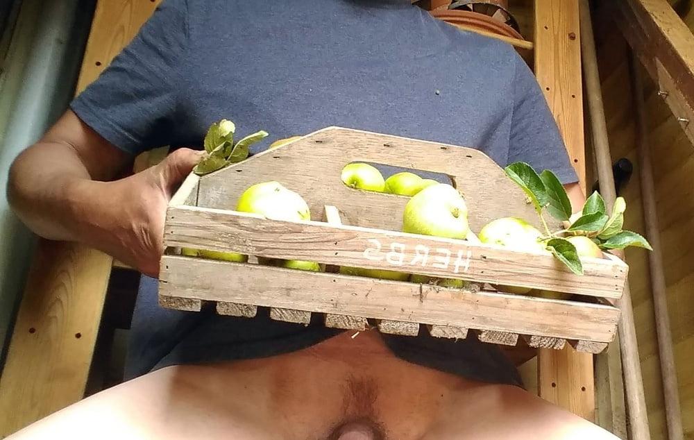 16P Apples from my garden