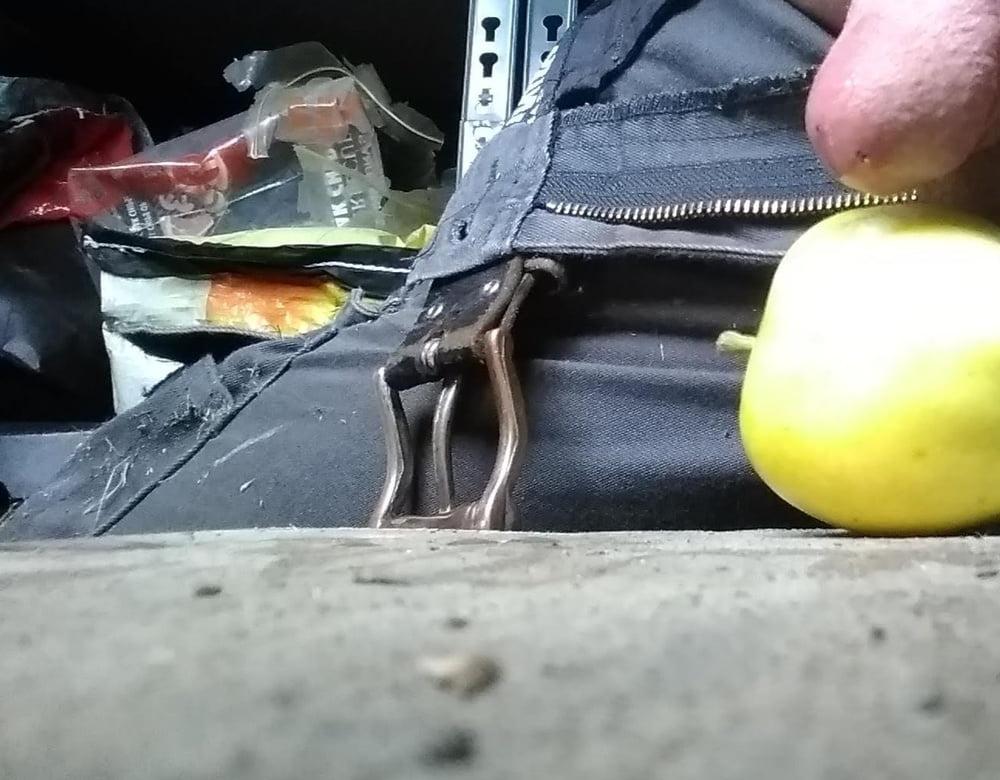 16P Apples from my garden