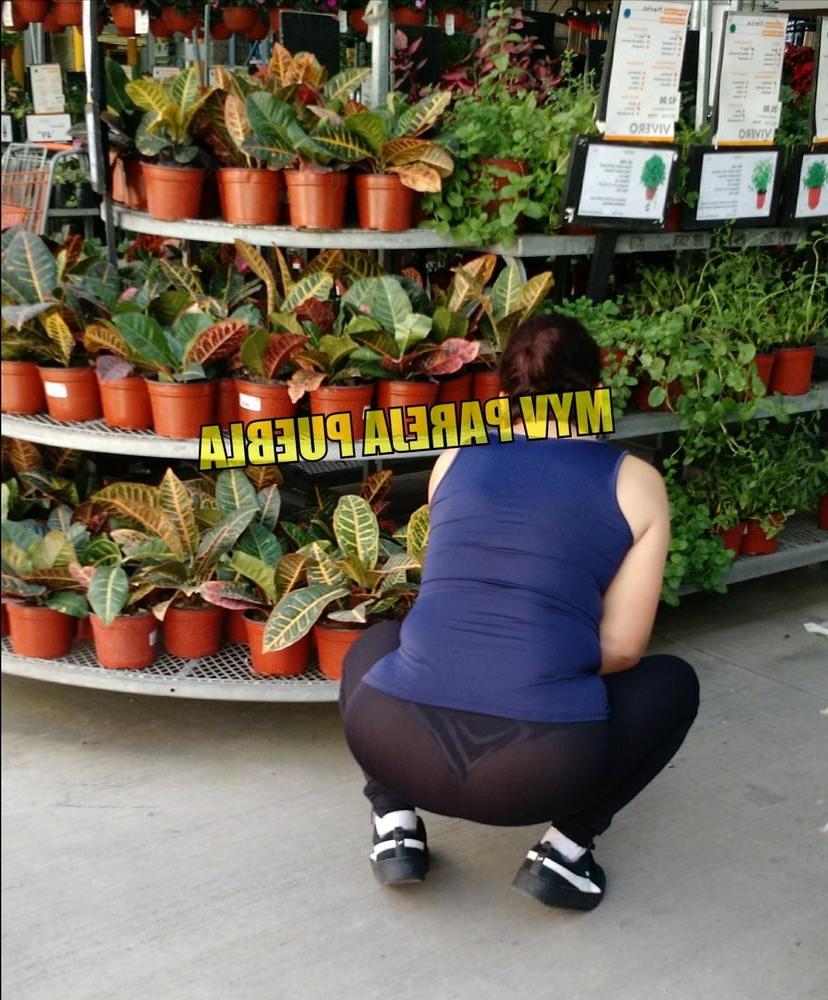 25P Public Latina see through