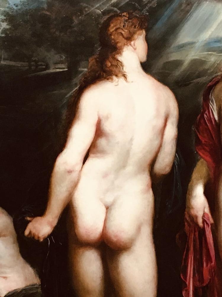 13P Artistic Arses