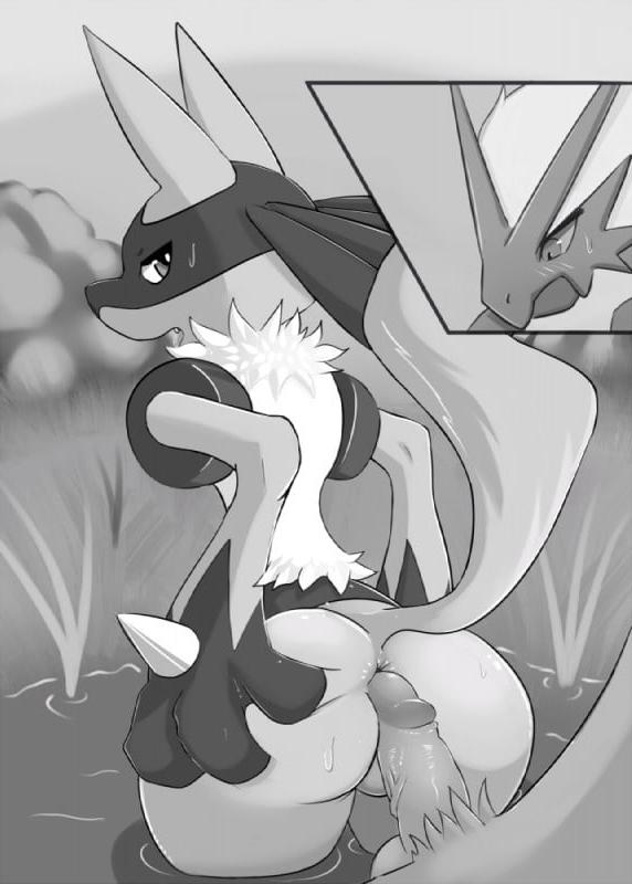 17P Pokemon &amp; Furry Porn