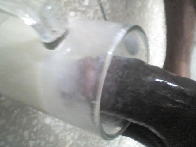 7P MilkShake Dipping