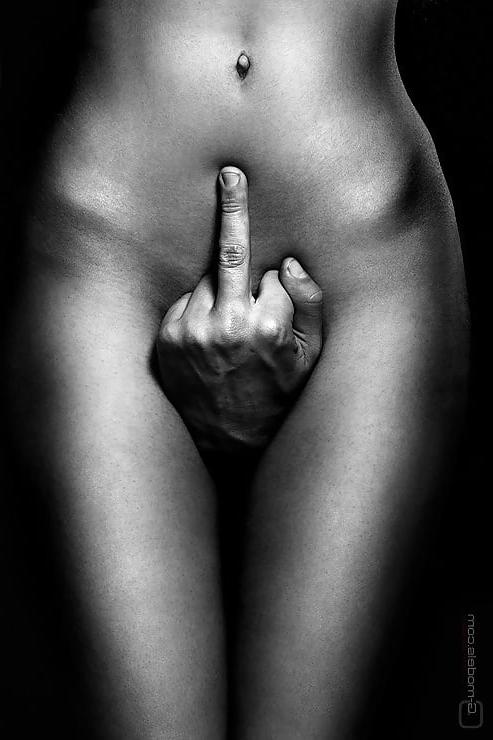 14P ARTISTIC IMAGES 3
