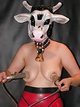 25P Lactation & Milking