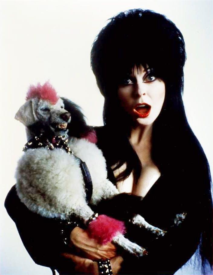 25P Cassandra Peterson aka Elvira--Mistress of the Dark!