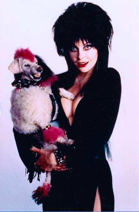 25P Cassandra Peterson aka Elvira--Mistress of the Dark!