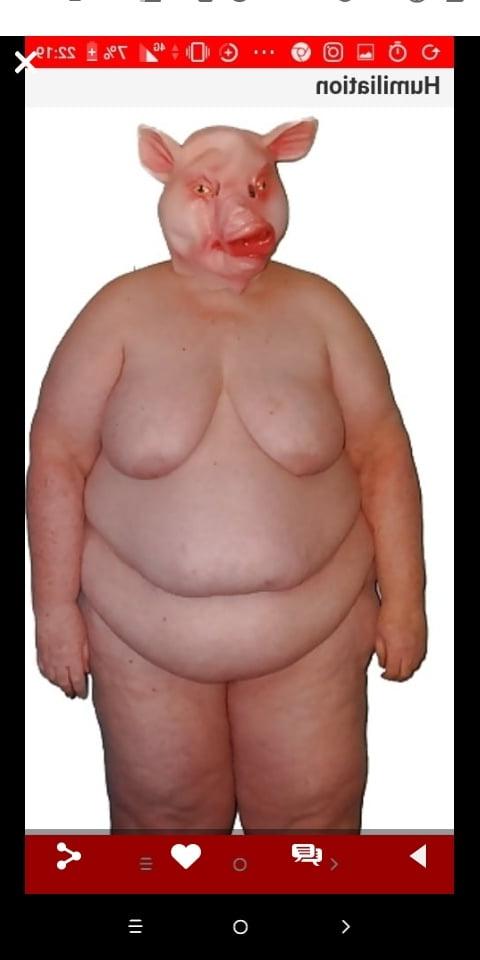 25P Master Hoodyman fat pigs uniforms .