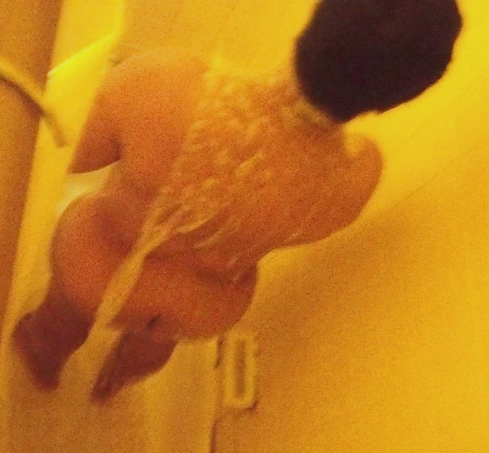5P Bath Rm Pussy 2