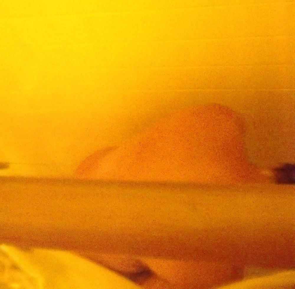 5P Bath Rm Pussy 2