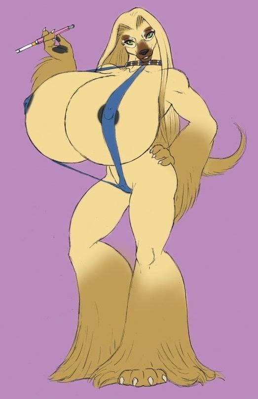 20P Furry Art 1