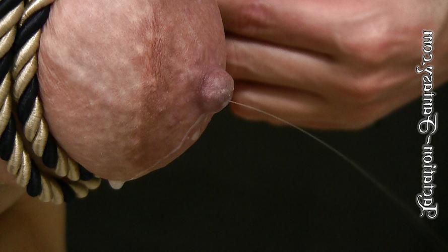 25P Milking tits2