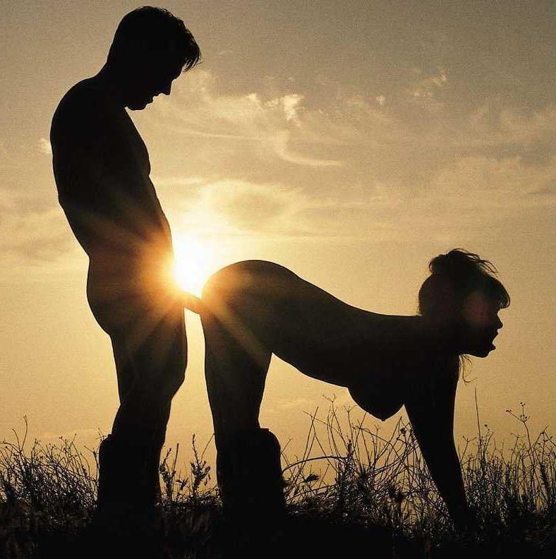 25P BBW Art &amp; More 30