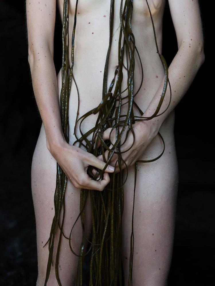 24P ART - KORBINIAN VOGT