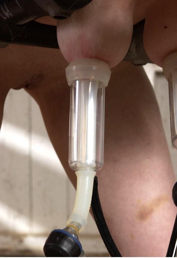 25P WOMEN MILKING THERE TITS