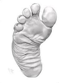 14P Foot Art