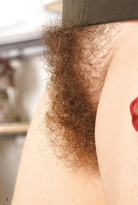 25P Unique Sexy Girls Hairy Pussies Collection
