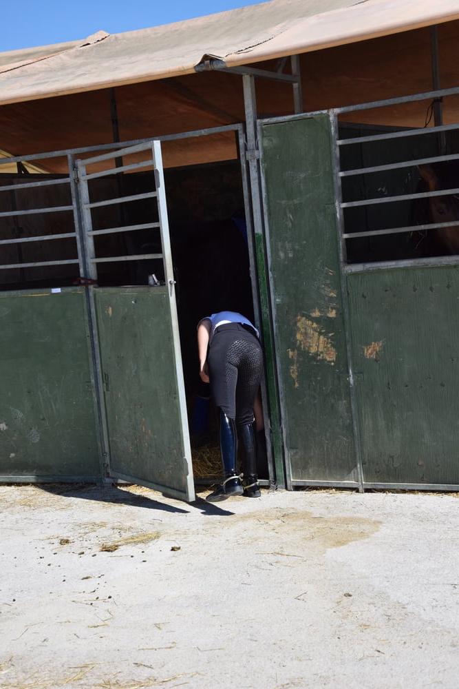 25P girls in jodhpurs 5