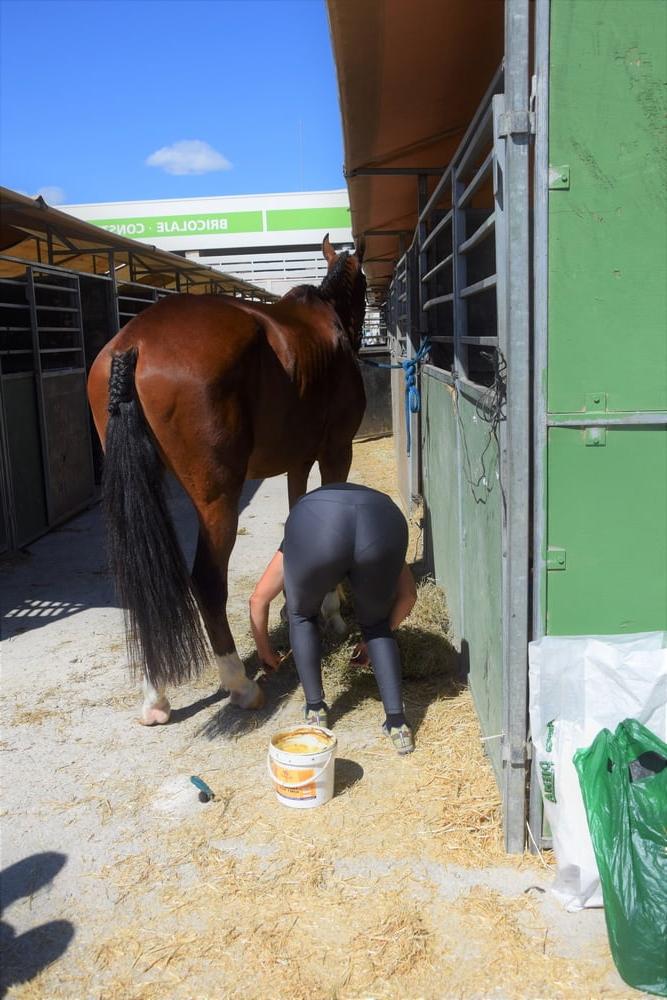 25P girls in jodhpurs 5