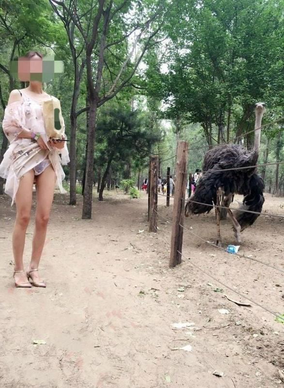 13P Public  Nudity