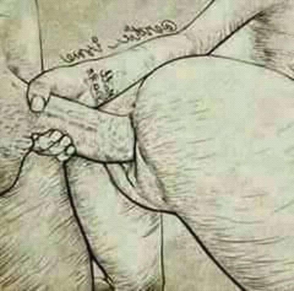 19P Erotic Art 103