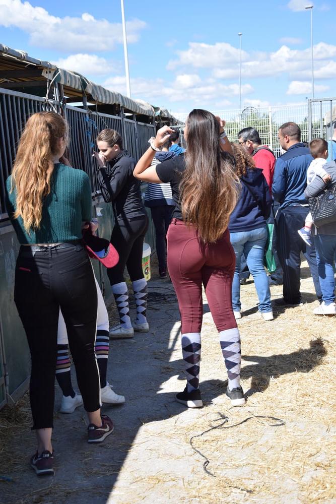 25P girls in jodhpurs 4