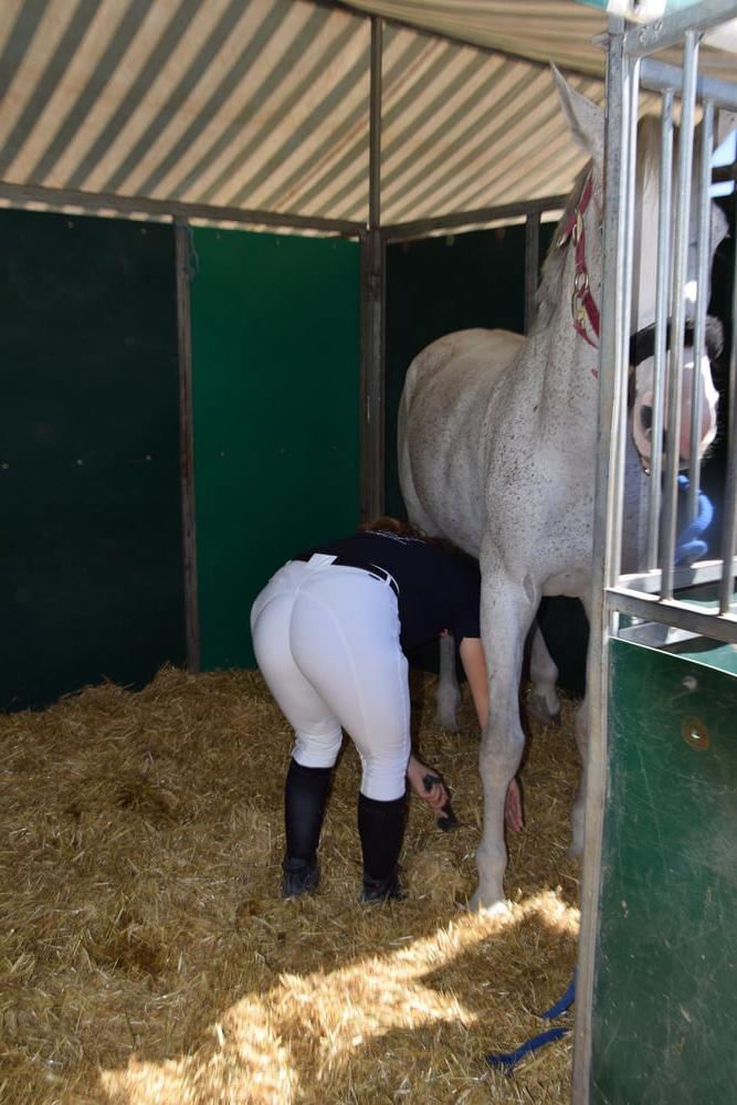 25P girls in jodhpurs 4