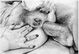 25P Art sex