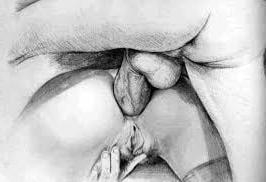25P Art sex
