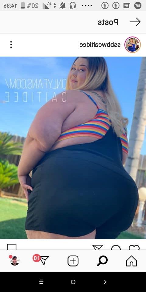 25P Hoodyman SSBBW 318 . More fat pigs exposed .