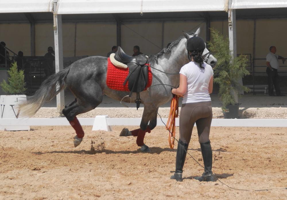 25P girls in jodhpurs 3